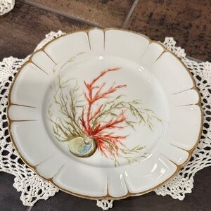 Elegant White and Gold Decorative Plate